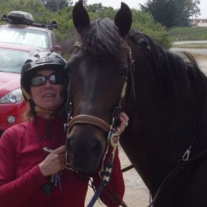 Meet your Posher, Dawn